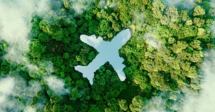 Inselleben pur: Reise-Tipps für entspannte Tage unter Palmen im digitalen Dschungel