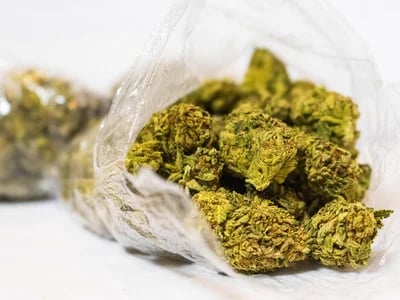 Cannapot – Dein Experte für feminisierte Sinsemilla und medizinisches Weed