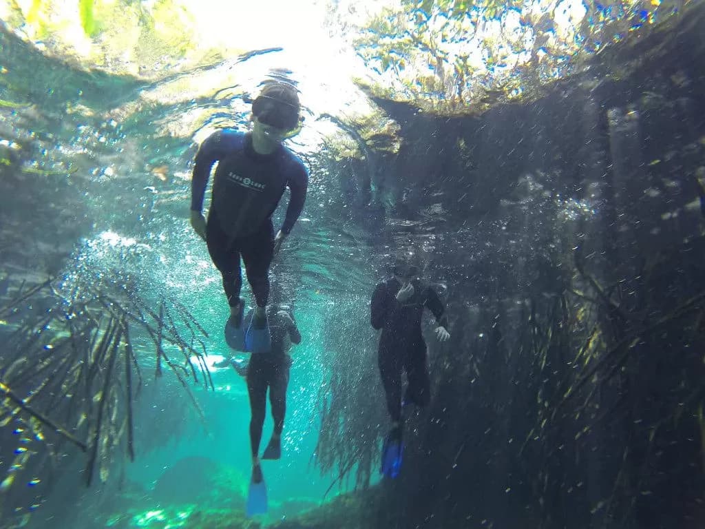 Tauchschule Playa del Carmen: Deutschsprachiger Komfort unter Wasser