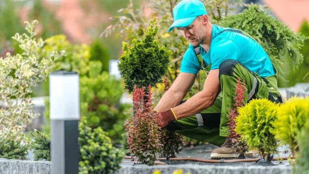 Für traumhafte Außenbereiche – Experten für garten Landschaftsbau braunschweig