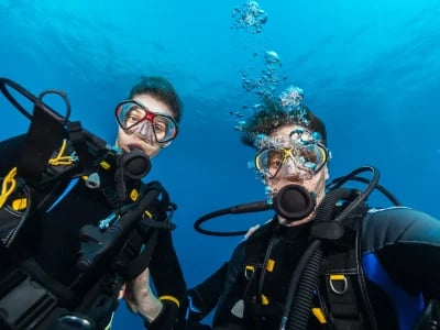 Tauchschule Playa del Carmen: Deutschsprachiger Komfort unter Wasser