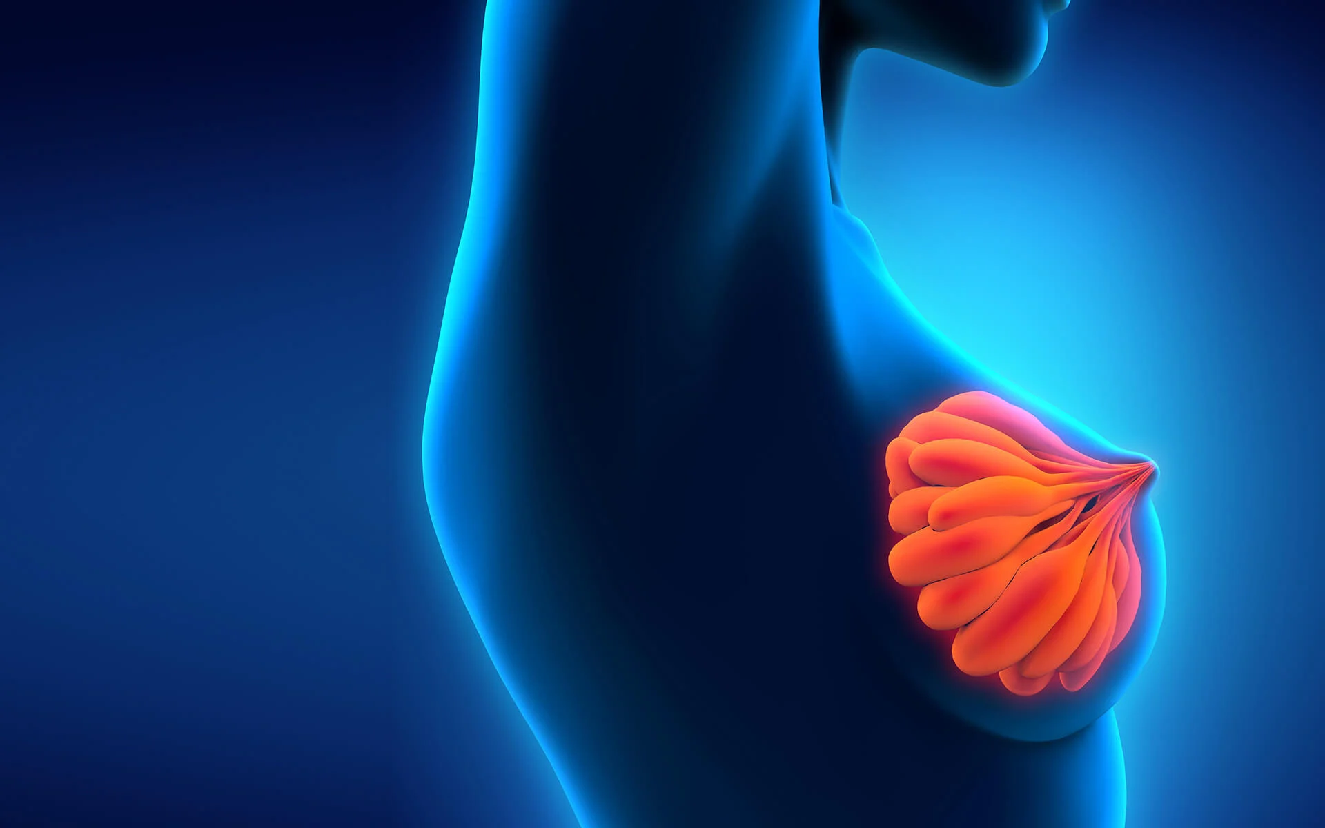 Die Zukunft der Brustchirurgie: Brustvergrößerung mit Eigenfett in Bochum