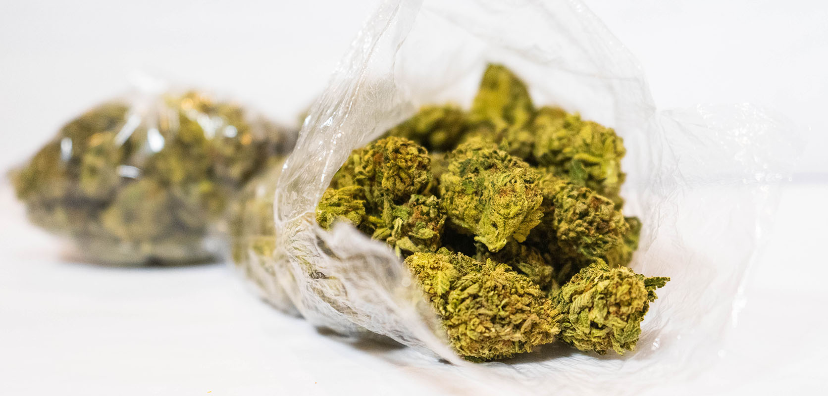 Cannapot – Dein Experte für feminisierte Sinsemilla und medizinisches Weed