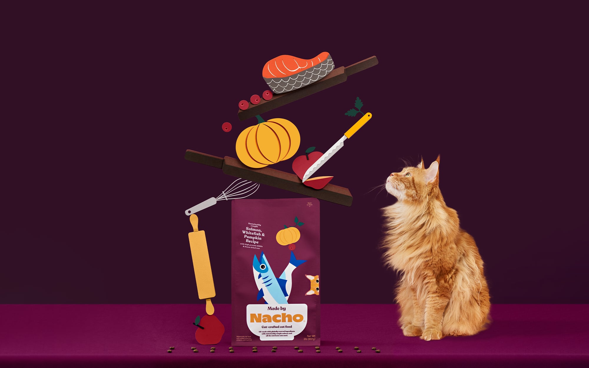 Made by Nacho Cat Food Review: Powerful Benefits Inside