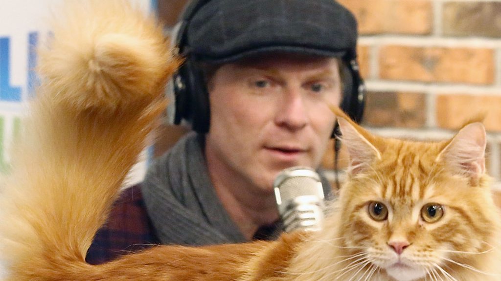 made by nacho cat food review